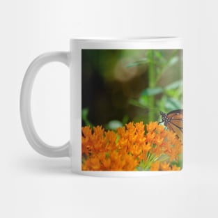 A Quiet Moment ~ Gila National Forest, New Mexico USA Mug